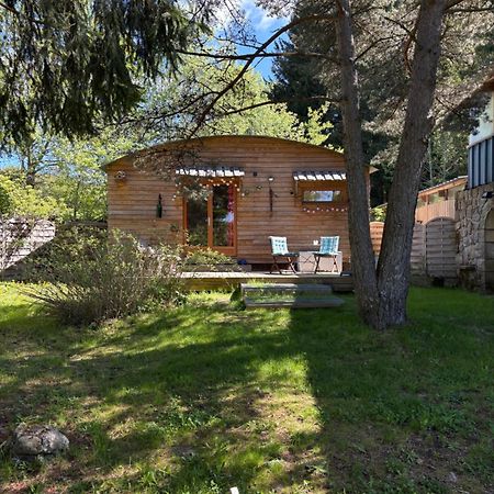 Chalet Grenouille Domaine De La Mamounette Champclause ภายนอก รูปภาพ