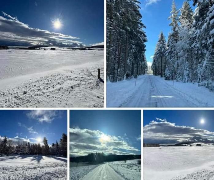Chalet Grenouille Domaine De La Mamounette Champclause ภายนอก รูปภาพ