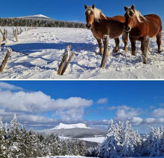 Chalet Grenouille Domaine De La Mamounette Champclause ภายนอก รูปภาพ