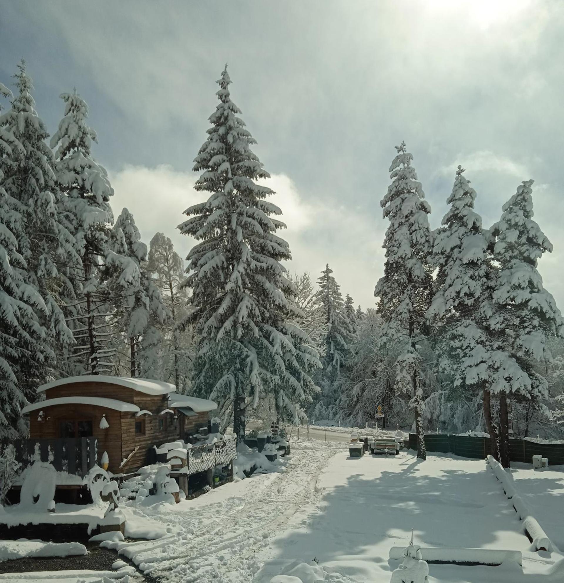 Chalet Grenouille Domaine De La Mamounette Champclause ภายนอก รูปภาพ
