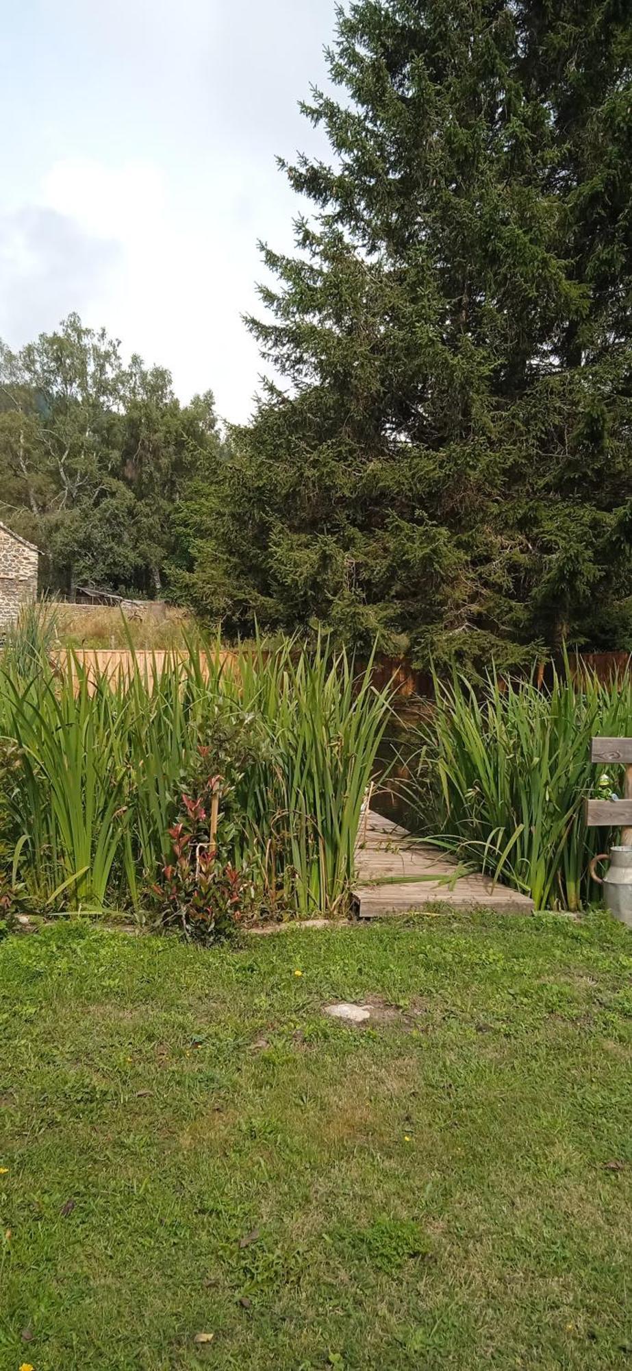 Chalet Grenouille Domaine De La Mamounette Champclause ภายนอก รูปภาพ