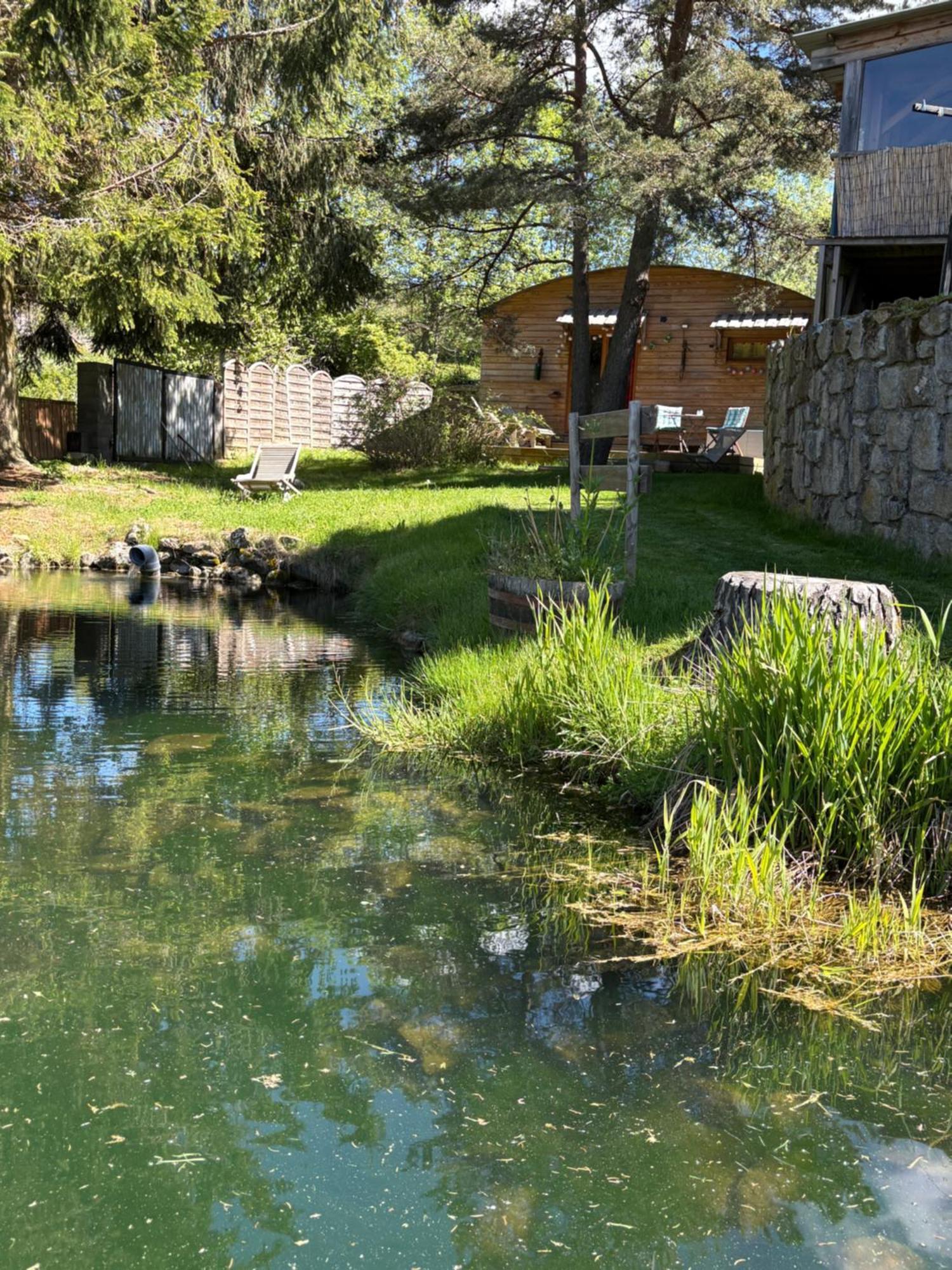 Chalet Grenouille Domaine De La Mamounette Champclause ภายนอก รูปภาพ